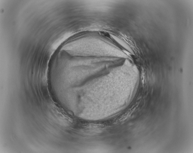 X0000088600292200706151808