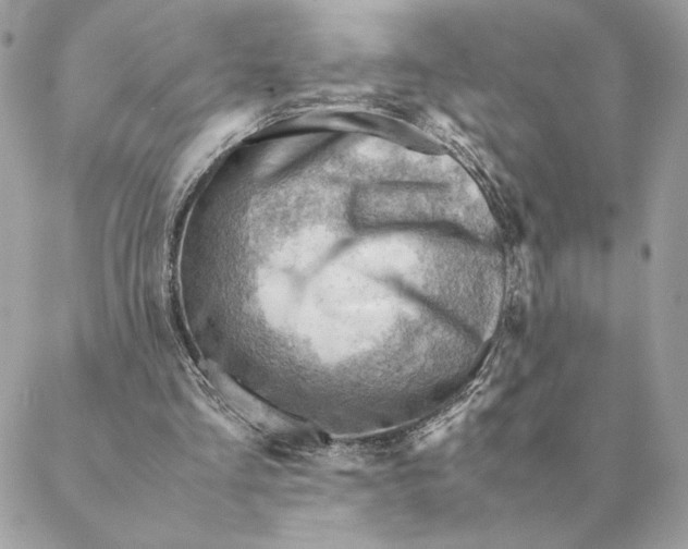 X0000088600293200706151808