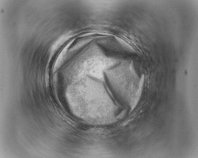 X0000088600294200706151808