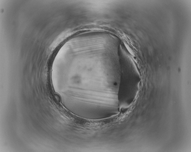 X0000088600295200706151808