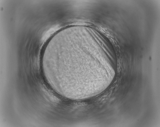 X0000088600296200706151808