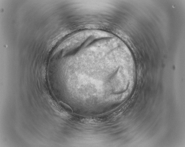 X0000088600297200706151808