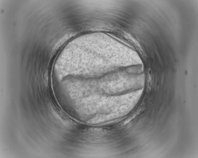 X0000088600298200706151808