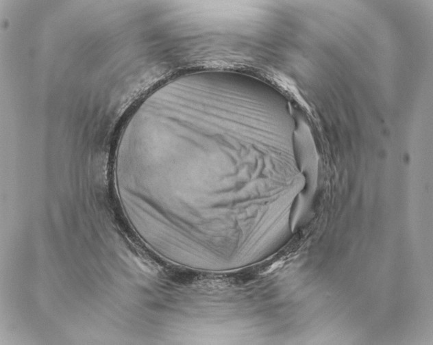 X0000088600299200706151808