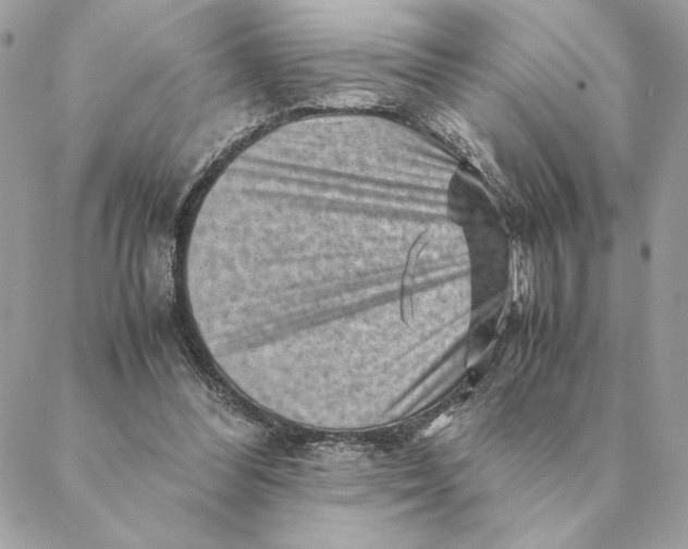 X0000088600300200706151808