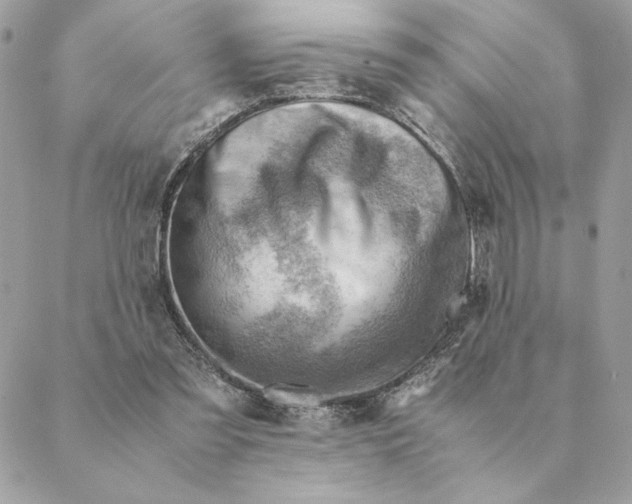 X0000088600301200706151808