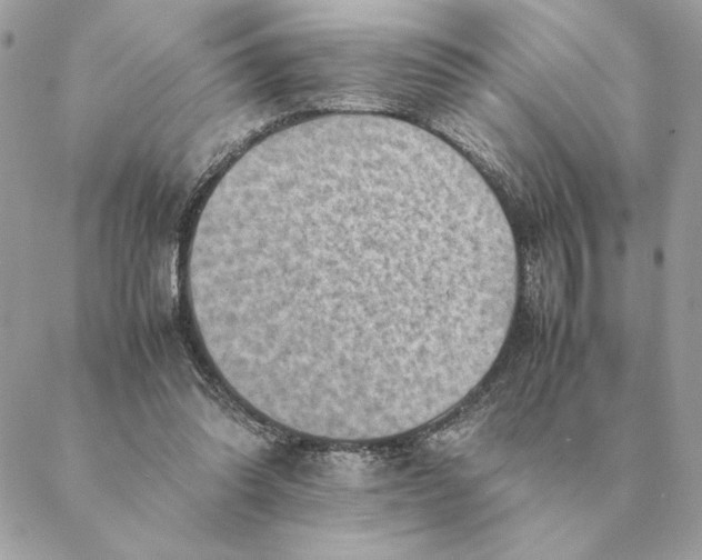 X0000088600302200706151808