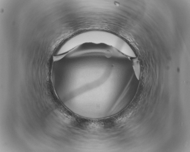 X0000088600303200706151808