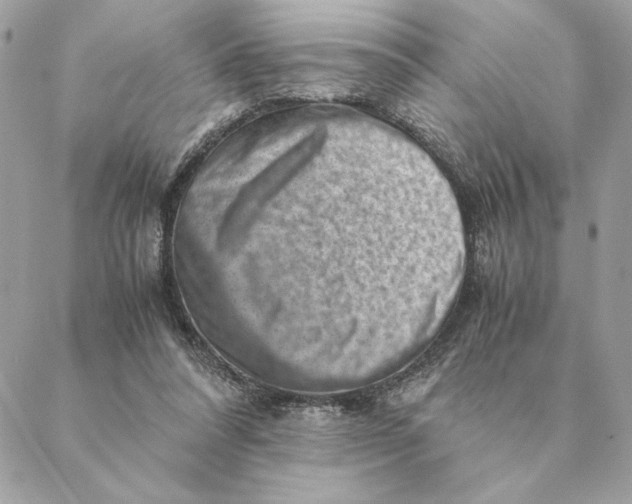 X0000088600304200706151808