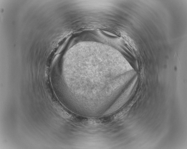 X0000088600305200706151808