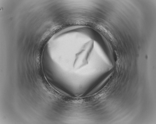 X0000088600306200706151808