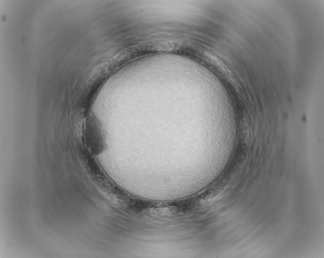 X0000088600307200706151808