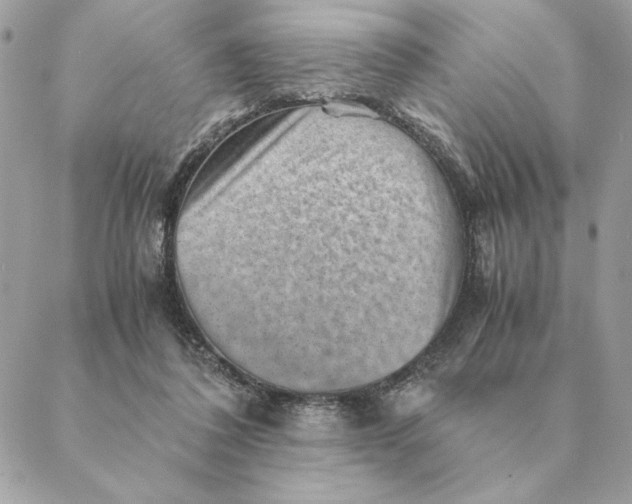 X0000088600308200706151808