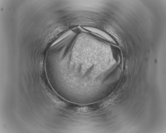 X0000088600309200706151808