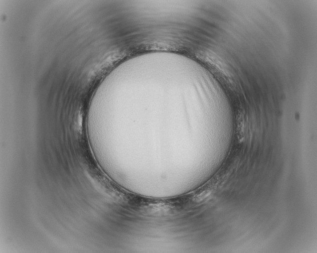 X0000088600310200706151808