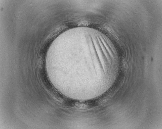 X0000088600311200706151808