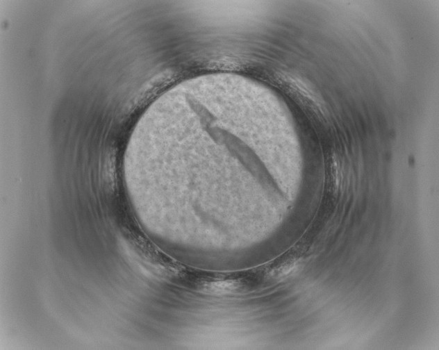 X0000088600312200706151808