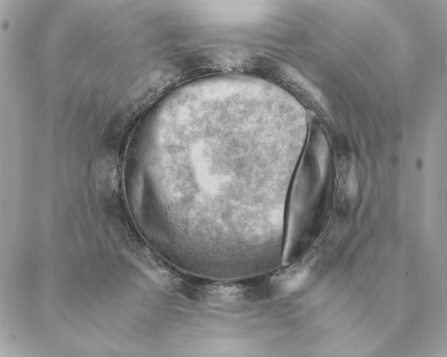 X0000088600313200706151808