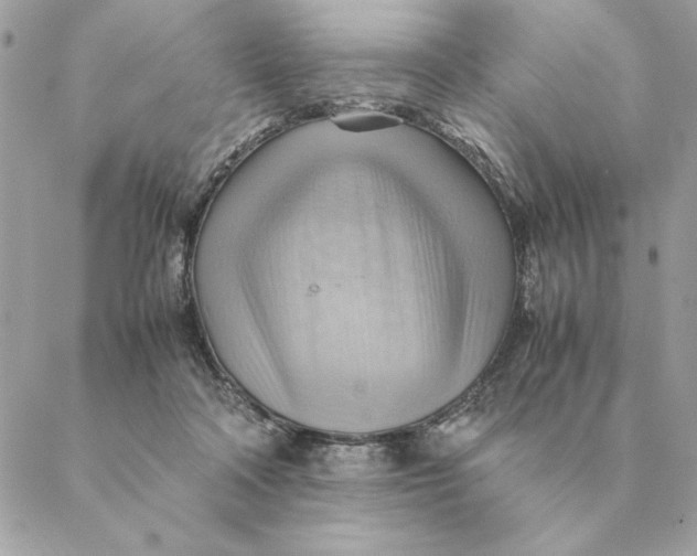 X0000088600314200706151808