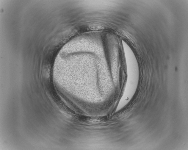 X0000088600315200706151808