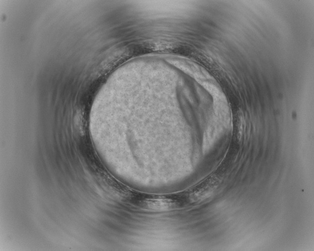 X0000088600316200706151808