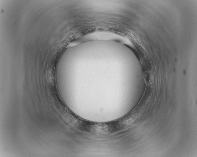 X0000088600317200706151808