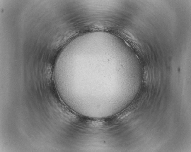 X0000088600318200706151808