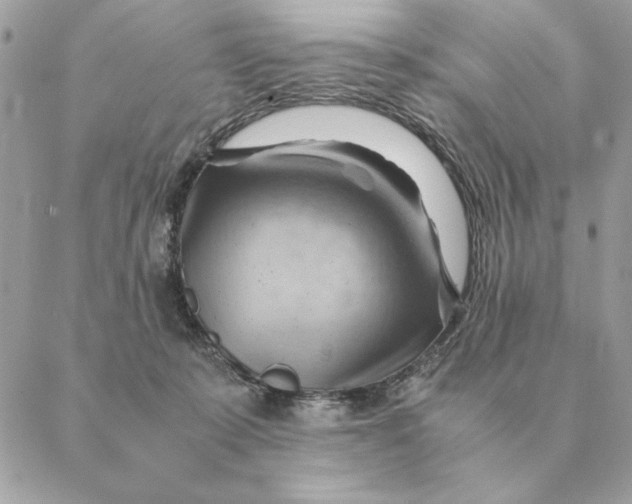 X0000088600319200706151808