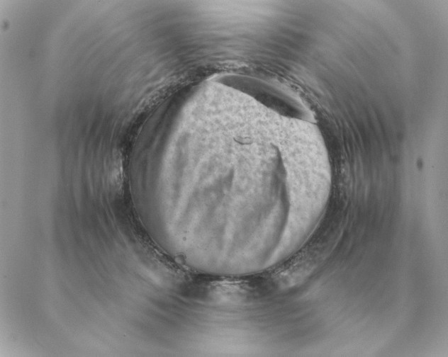 X0000088600320200706151808