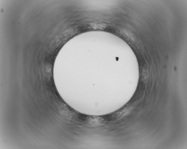 X0000088600321200706151808