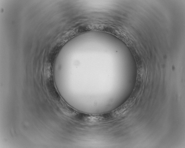 X0000088600323200706151808