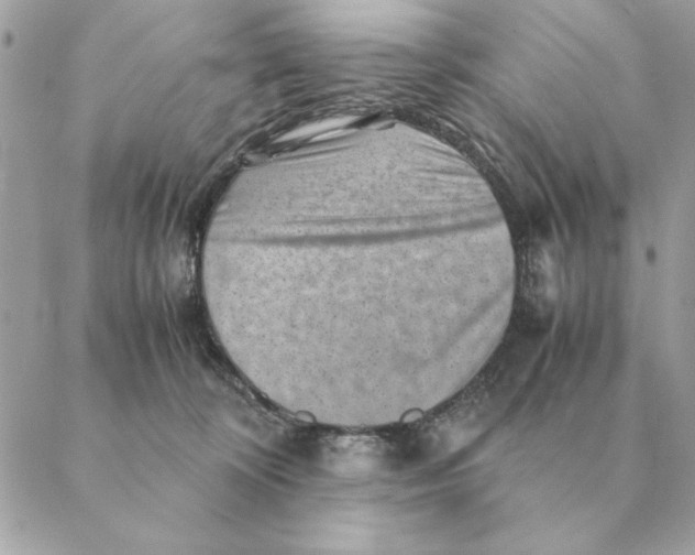 X0000088600324200706151808