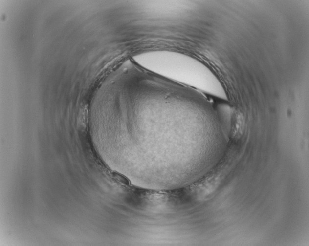 X0000088600325200706151808