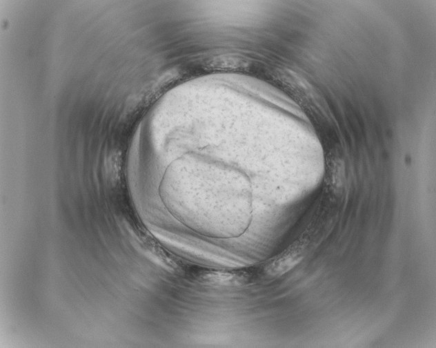 X0000088600326200706151808