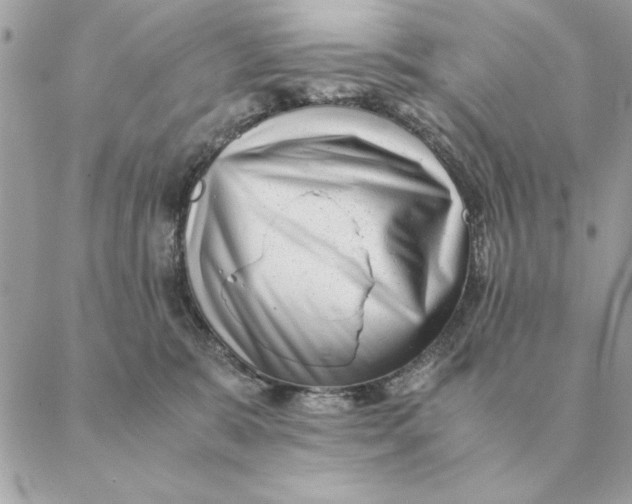 X0000088600327200706151808