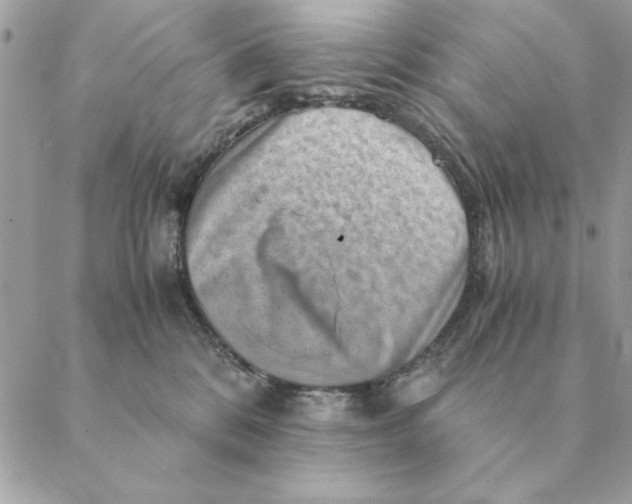 X0000088600328200706151807