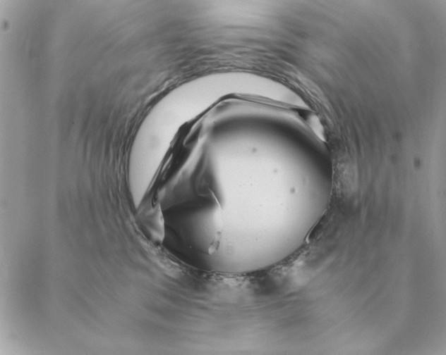 X0000088600329200706151807