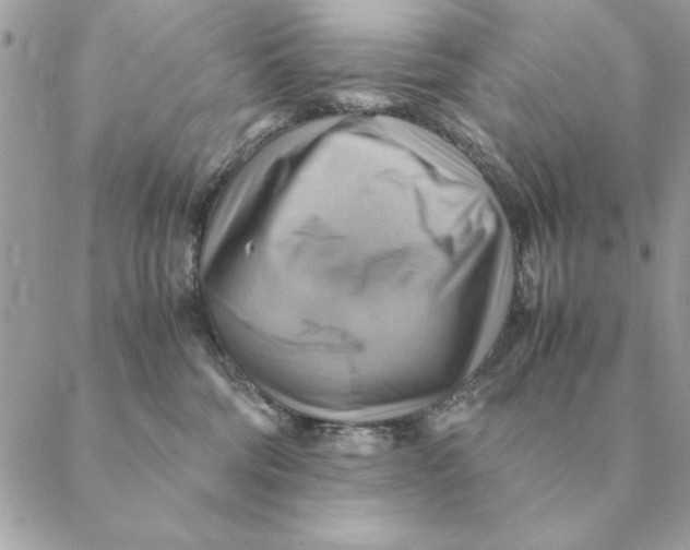 X0000088600330200706151807