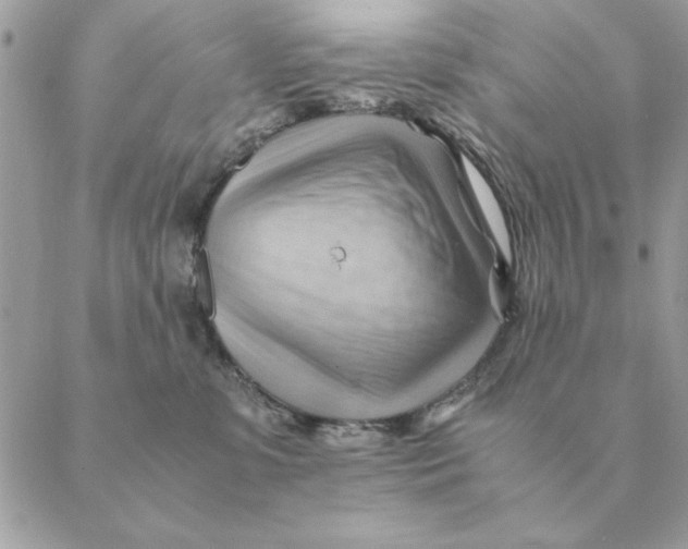 X0000088600331200706151807