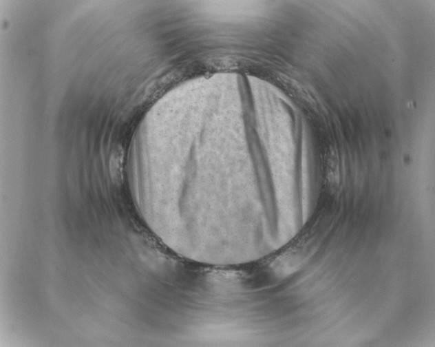 X0000088600332200706151807