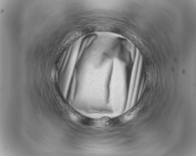 X0000088600333200706151807