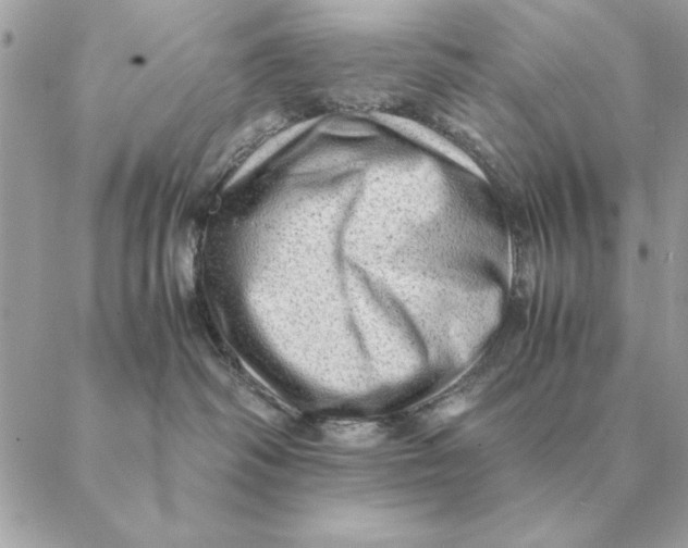 X0000088600334200706151807