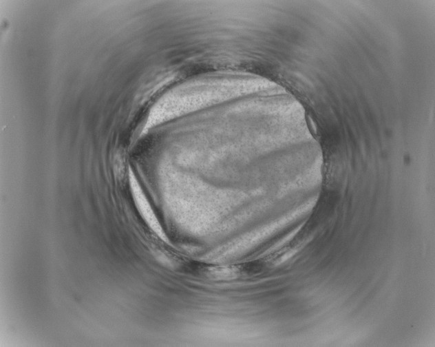 X0000088600335200706151807