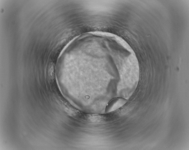 X0000088600336200706151807