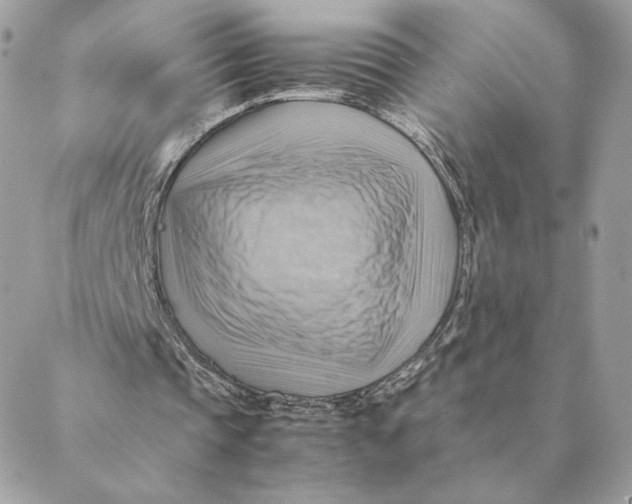 X0000088600337200706151807