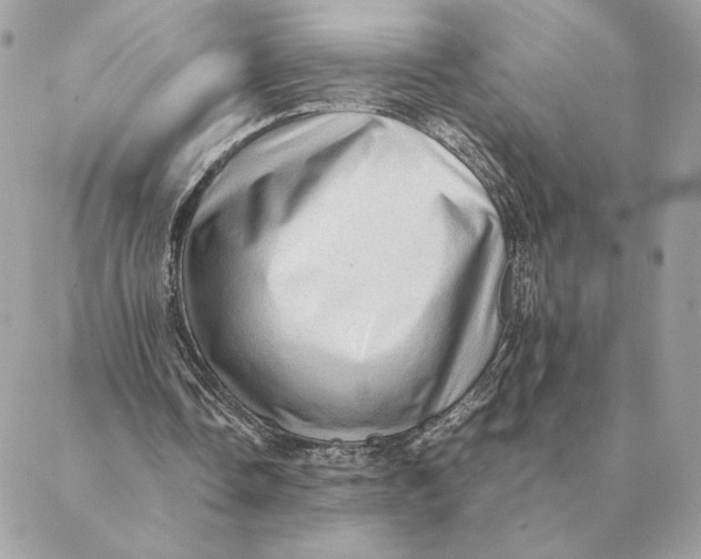 X0000088600338200706151807