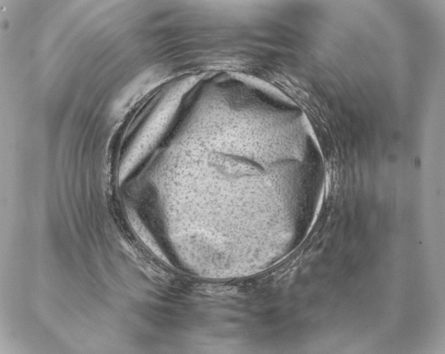 X0000088600339200706151807