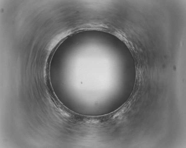 X0000088600340200706151807