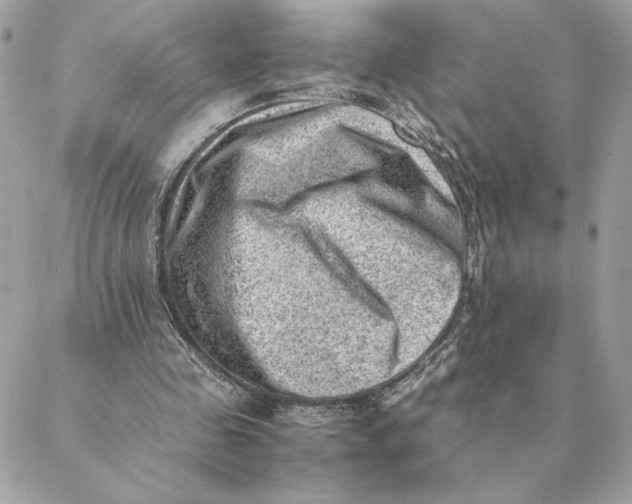 X0000088600341200706151807