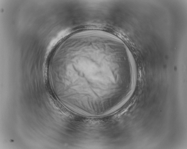 X0000088600343200706151807